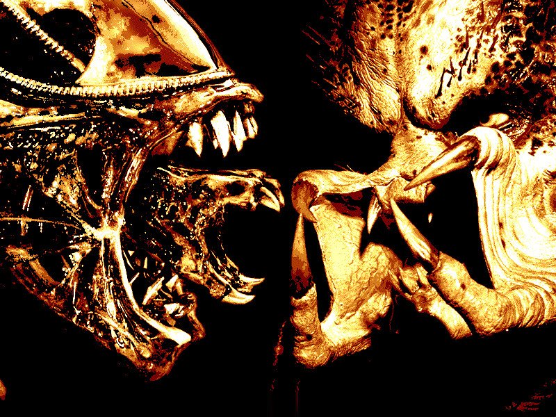 Download Alien Vs Predator Attacking Humans Wallpaper